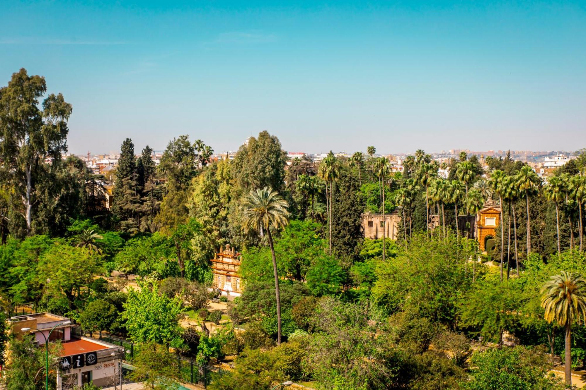 Alcázar 3*
